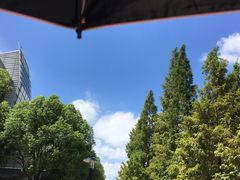 -属音琴行(成山路店)
