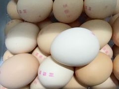 -牛New寿喜烧(新六百店)