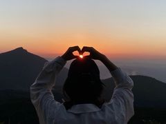 -武陵山森林公园