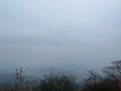 -莫干山风景区