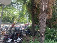 -上海市公安局交通警察总队车辆管理所三分所