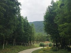 -贵阳市花溪国家城市湿地公园