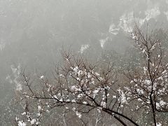 -佛慧山