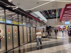 -谢列梅捷沃国际机场