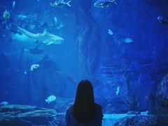 -多彩贵州城极地海洋世界