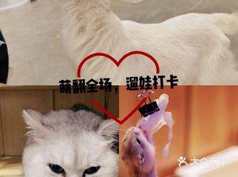 在家里宝宝是不是呆的很无趣啊