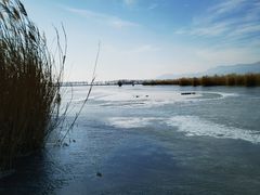 -野鸭湖国家湿地公园