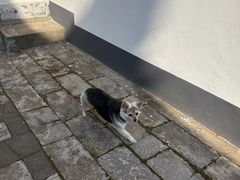 -高淳老街