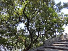 -方回春堂(拱宸桥店)