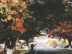 -清风小镇闯关东影视基地