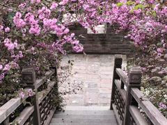 -爱新觉罗皇家博物院