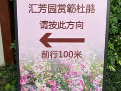 -深圳国际园林花卉博览园