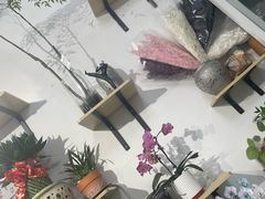 -FEI FEI FLOWER鲜花店·气球派对·宝宝宴布置(虹口德必运动Loft店)