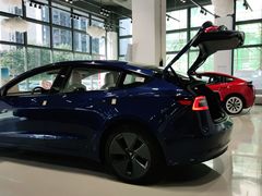 -TESLA 特斯拉(深圳观澜特斯拉直营钣喷中心)