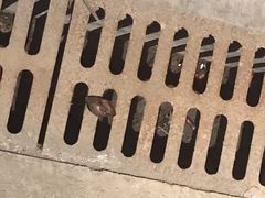 -广州市紫泥堂文化创意园景区