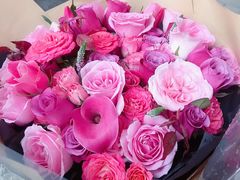 -植物学家的女儿(北马道巷店)