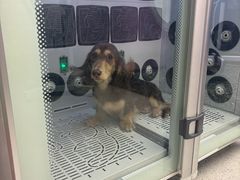 -FAELING PETS美天灵宠物(富力广场店)