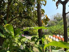 -大象粑粑造纸公园