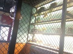 -日食记精菜馆(建邺万达店)
