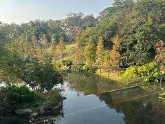 -云溪植物园