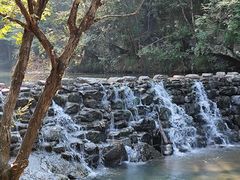 -石台牯牛降景区