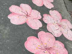 -高东镇樱花园