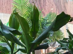 -ZOO COFFEE动物园咖啡(红山森林动物园店)