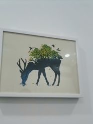 -索菲医疗整形美容