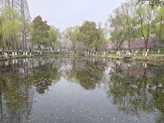 -范蠡湖公园