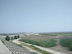 -南汇嘴观海公园