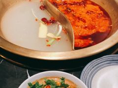 -杨家火锅(国美店)