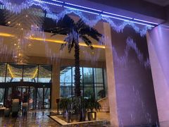 -常州环球恐龙城维景国际大酒店