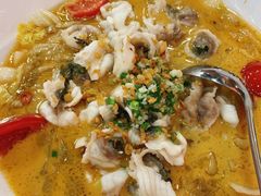 -港升鱼师傅·中山脆肉鲩