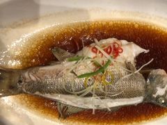 达仔鱼-昆山金鹰尚美酒店·金鹰贵宾楼