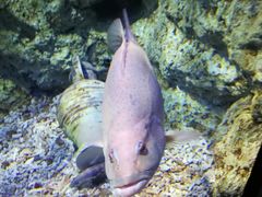 -福州罗源湾海洋世界旅游区