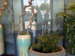 -晶泽丽琅·鱼鲜川菜(川师店)