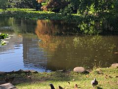 -北海道厅旧本厅舍(旧本庁舎)