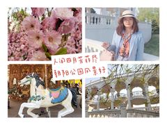 -朝阳公园游乐园