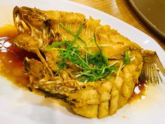 招牌油浸鲈鱼-永記粤菜·五指毛桃花雕鸡煲(九亭店)