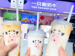 -老幺泉水鸡