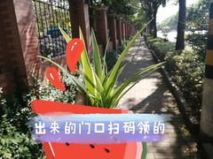 -上海吴淞炮台湾国家湿地公园