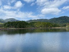 -海南热带雨林国家公园吊罗山景区