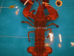 -都市阳光海鲜城(青山湖店)