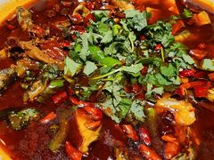 藿香三角峰-鸡毛店·川菜(双楠店)