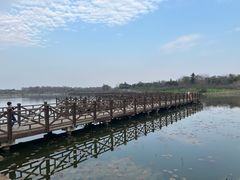 -上海海湾国家森林公园