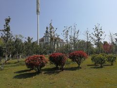 -九龙湖公园