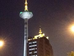 -辽宁电视塔
