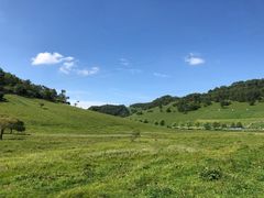 -关山草原
