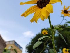 -辽宁团山国家级海洋公园