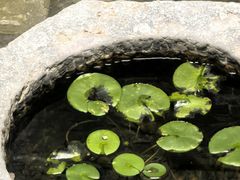-西安于右任故居博物馆